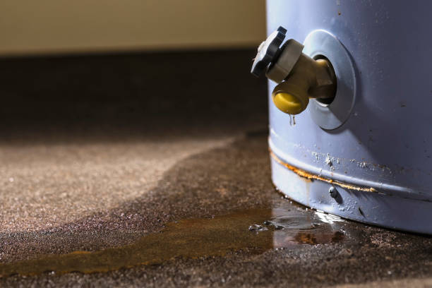 Best Mold removal after water damage  in Brier, WA