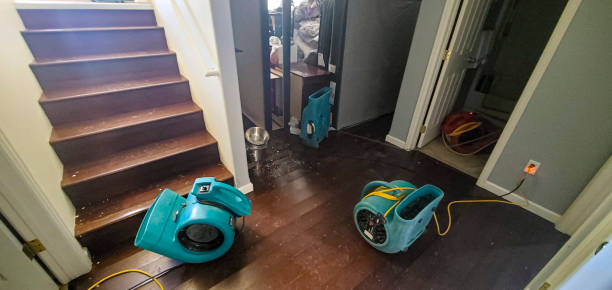 Best Local water damage restoration  in Brier, WA