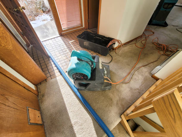 Best Emergency water damage restoration  in Brier, WA