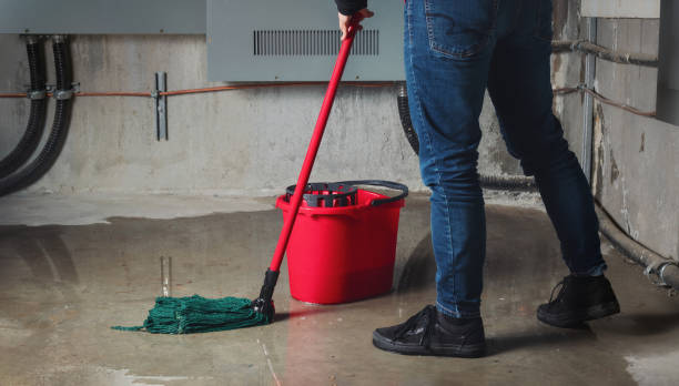 Best Water damage contractors near me  in Brier, WA