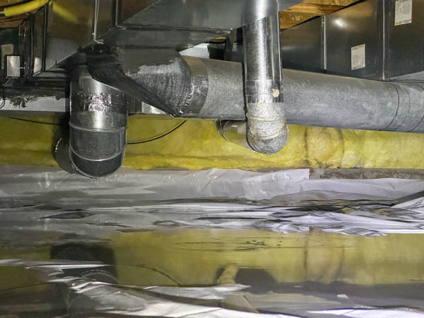 Best Residential water damage restoration  in Brier, WA